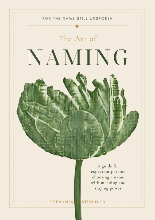 The Art of Naming: A Guide for Expectant Parents